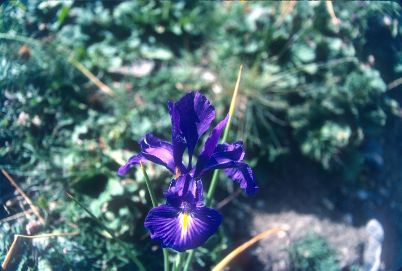 198808xx_078.jpg