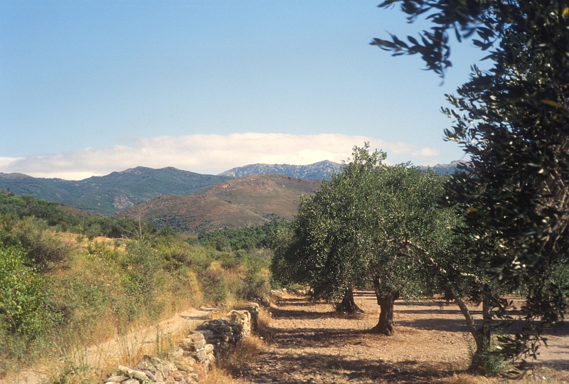 1993_08xx009.jpg - après le Mas Corbera, vue Nord