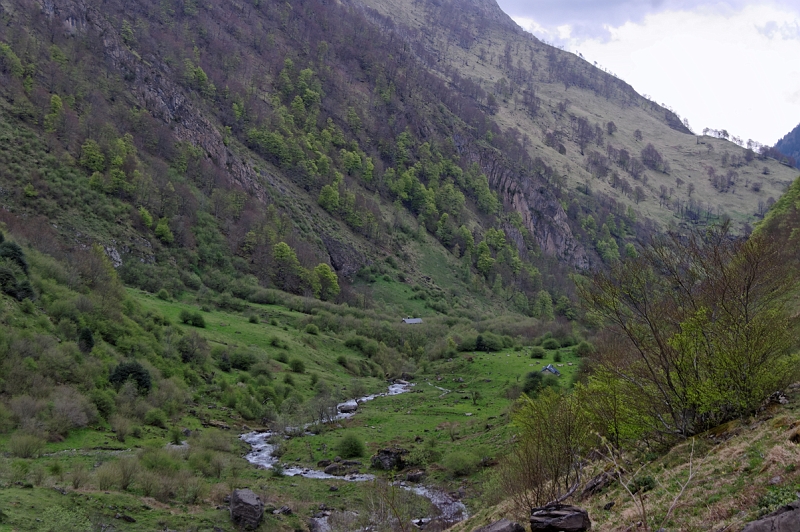 IMGP5898.jpg - En montant dans le bois du Puech d'Aula.A droite la cabane forestière de l'Artigue.A gauche un cabane privée dont le chemin d'accès est sur la rive gauche à partir de la passerelle avant le Bibet.