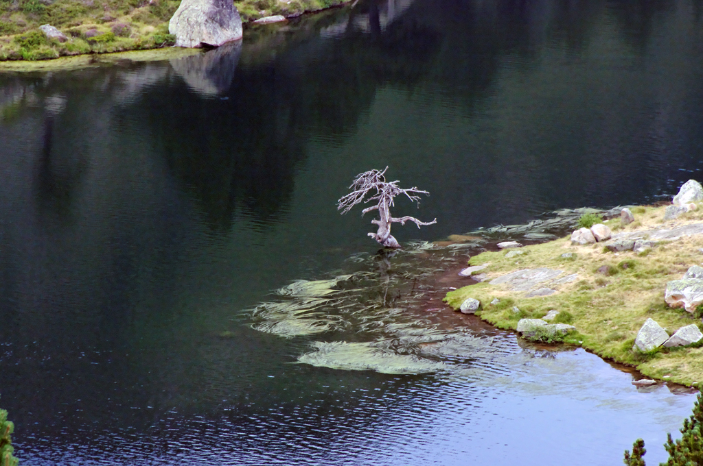 IMGP1091.jpg - Rando et Bivouac aux Lacs de Baciver
